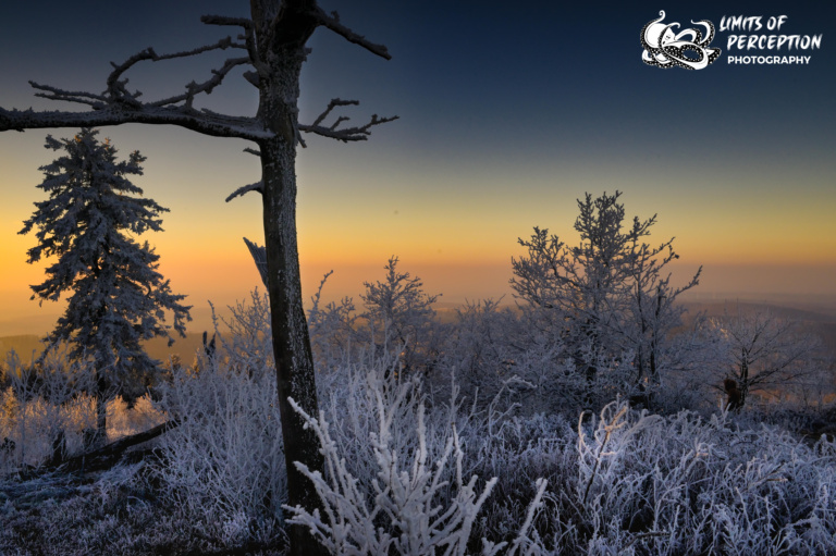 Feldberg im Taunus im Schnee / Frost